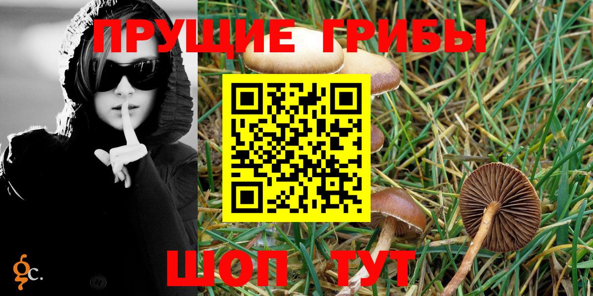 Псилоцибиновые грибы Cubensis  Вход с VPN  Якутск 
